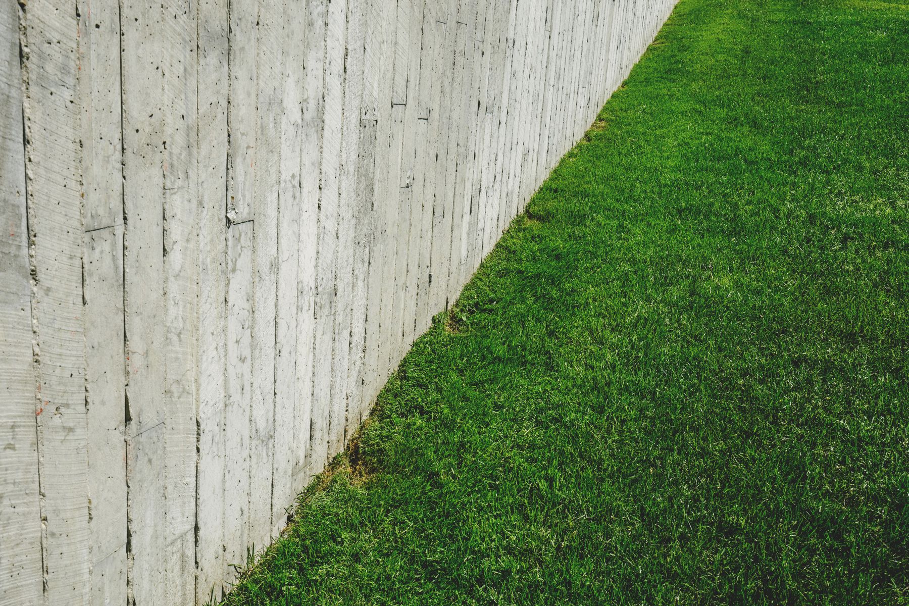 Wooden outdoor fence surrounded by greenery